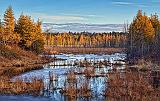 Wetlands At Sunrise_08046